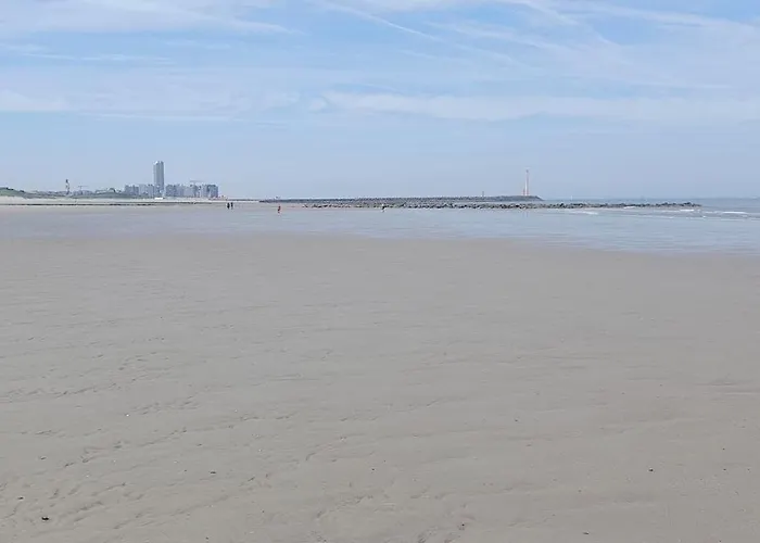 Appartement Park Tower Sea View With Pool And Gym